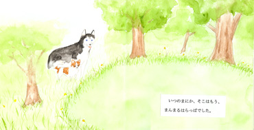 �c������